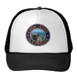 City of Chicago Shirts hats
