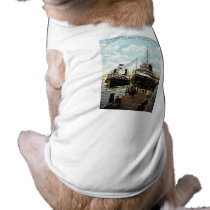 City of St. Ignace & City of Cleveland, D&C Line Dog Clothes