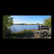 City Park Bench posters