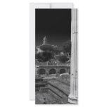 City Ruins rack cards