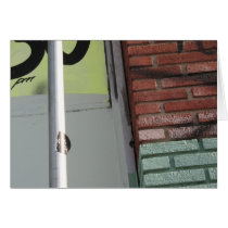 City Scene cards