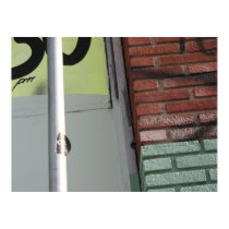 City Scene posters