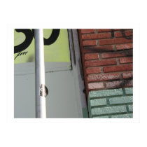 City Scene posters