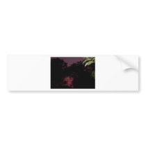 City Sunset bumper stickers