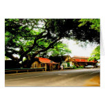 Ciudad 2 de Koloa Tarjetón