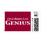 Civil Rights Law Genius Gifts Stamp
