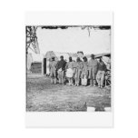 Civil War, Black Teamsters Postcard