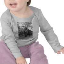 Civil War Photo Circa 1862 Tees
