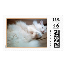 ck 922 stamps