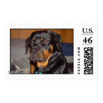 cl postage