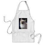 cla1, CLANCY Aprons