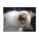 cla1, CLANCY Post Cards