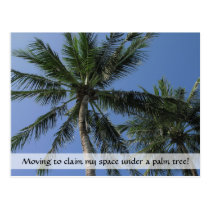 Claiming Space in Paradise on Postcard postcards