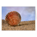 Clam shell card