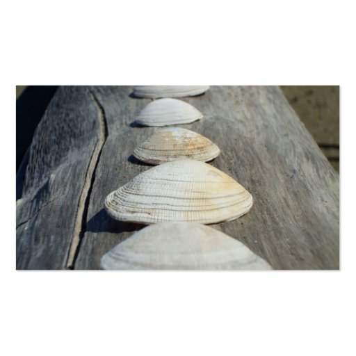 Clam shells business cards