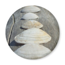 Clam Shells Magnet