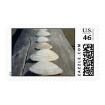 Clam shells postage