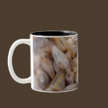 Clams Mug mugs