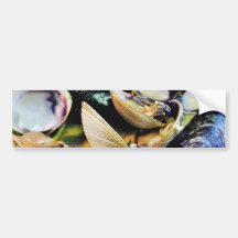 Clams Muscles Shellfish Food Bumper Stickers