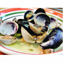 Clams Muscles Shellfish Food photo sculptures