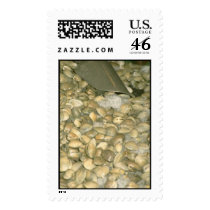 Clams postage by Recipes101 Clams postage
