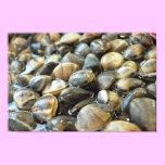 Clams - Up Close and Personal - High Definition posters