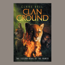 Clan Ground Poster posters
