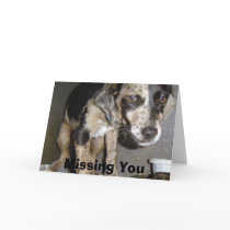 clantonone, Missing You cards by Catahoula clantonone, Missing You cards