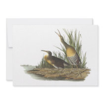 Clapper Rail, John Audubon Personalized Invitations