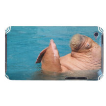 Clapping Walrus iTouch Case iPod Touch Case-Mate Case