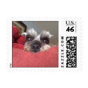 Clarabelle Peek-A-Boo postage