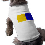 Clare, Ireland Pet T Shirt