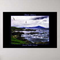 Clare Island Birds Poster Print