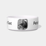Clarinet Girl Player Steps with Tuner and Music Cat Water Bowl