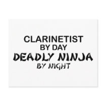 Clarinetist Deadly Ninja by Night Postcards