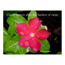 Clarity comes after the hardest of rains posters