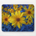 Clarity in yellow mousepads