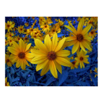 Clarity in Yellow posters by patrickrp Clarity in Yellow posters