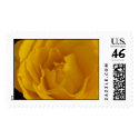 Clarity Peace and Serenity Postage Stamp by estjohn Clarity Peace and Serenity Postage Stamp