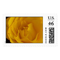 Clarity Peace and Serenity Postage Stamp