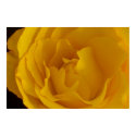 Clarity Peace and Serenity Poster posters by estjohn Clarity Peace and Serenity Poster posters