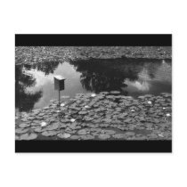 Clarity Postcards