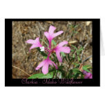 Clarkia - Idaho Wildflower (Blank Card)