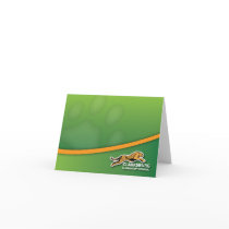 Clarksburg Cheetah Notecards
