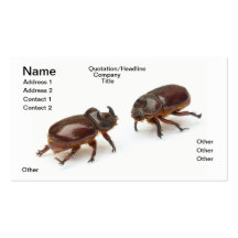 Clash of Titans Business Cards
