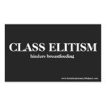 CLASS ELITISM HINDERS BREASTFEEDING SQUARE STICKER