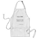 Class of 2008 apron