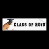 Class of 2010 Boxer graduate bumper sticker bumper stickers