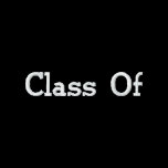 Class Of  2010 Embroideried Hoodie
