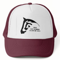 Class of 2011 Hat by isolefa Class of 2011 Hat
